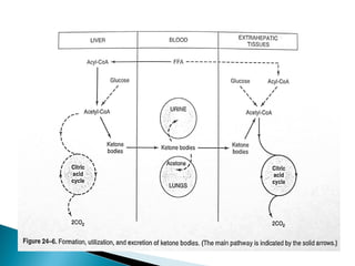 Fatty acid oxidation & ketone bodies | PPT