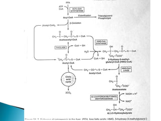 Fatty acid oxidation & ketone bodies | PPT