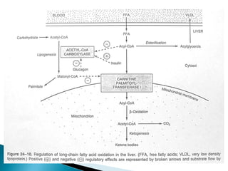 Fatty acid oxidation & ketone bodies | PPT