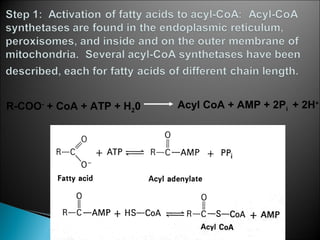 Fatty acid oxidation & ketone bodies | PPT