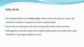 Fatty Acids
 The simplest lipids are the fatty acids, which rarely exist alone in nature, but
instead are usually a component of more complex lipids
 Fatty acids are carboxylic acids with a long hydrocarbon chain attached
 Although the acid end is polar, the nonpolar hydrocarbon tail makes fatty acids
insoluble (or sparingly soluble) in water
 