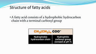 Structure of fatty acids
• A fatty acid consists of a hydrophobic hydrocarbon
chain with a terminal carboxyl group
 