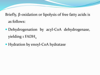 Briefly, β-oxidation or lipolysis of free fatty acids is
as follows:
 Dehydrogenation by acyl-CoA dehydrogenase,
yielding 1 FADH2
 Hydration by enoyl-CoA hydratase
 