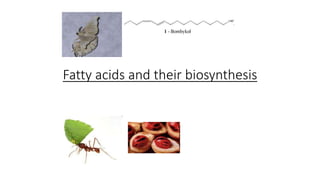 Fatty acids and their biosynthesis
 