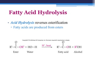 Fatty Acid Hydrolysis
• Acid Hydrolysis reverses esterification
  ▫ Fatty acids are produced from esters
 