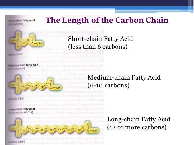 Long Chain Fatty Acids Foods Examples Long Chain Fatty Acids Foods Examples