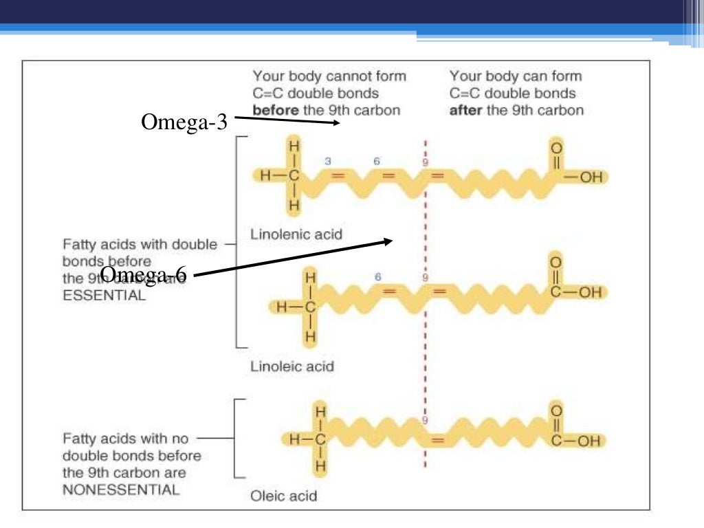 Fatty acids and triglycerides