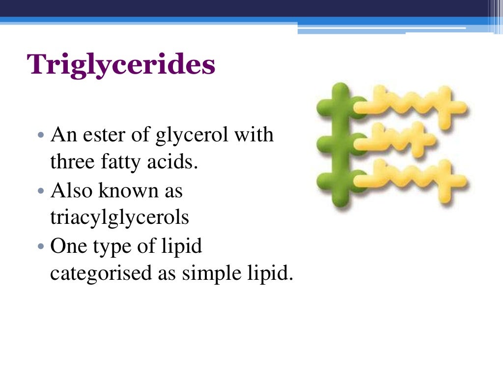 Fatty acids and triglycerides