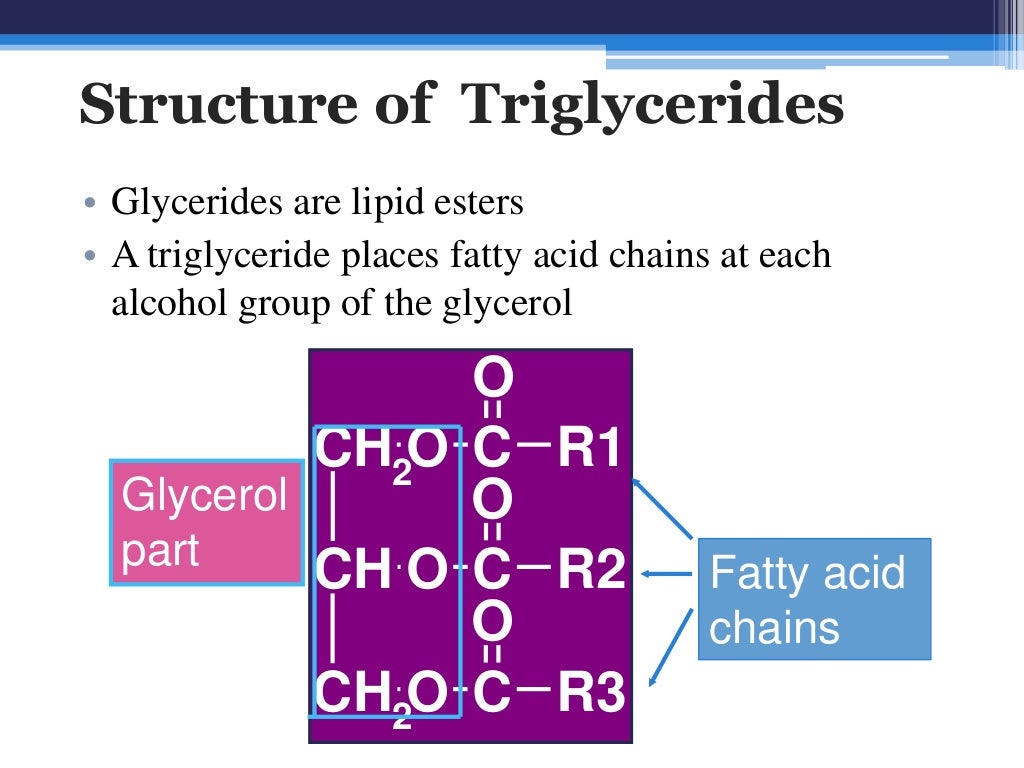 Fatty acids and triglycerides