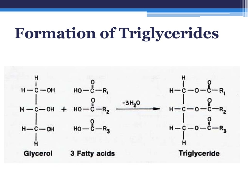 Fatty acids and triglycerides