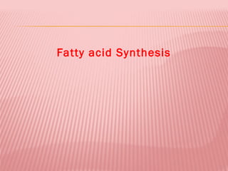 Fatty acid Synthesis