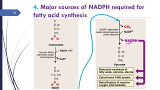 4. Major sources of NADPH required for
fatty acid synthesis
Rajesh Chaudhary
13
 