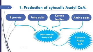 1. Production of cytosolic Acetyl CoA.
Tuesday, June 14,
2016
Rajesh Chaudhary
6
Pyruvate Fatty acids
Ketone
bodies
Amino acids
Mitochondrial
Acetyl CoA Cytosolic
Acetyl
CoA
 