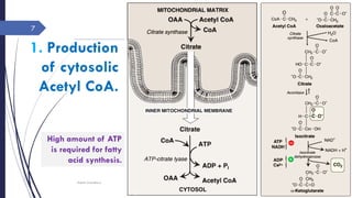 1. Production
of cytosolic
Acetyl CoA.
Tuesday, June 14,
2016
Rajesh Chaudhary
7
High amount of ATP
is required for fatty
acid synthesis.
 