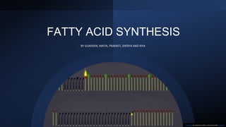 FATTY ACID SYNTHESIS
BY GUNVEEN, NIKITA, PRAKRITI, SHERYA AND RIYA
This Photo by Unknown Author is licensed under CC BY-SA
 