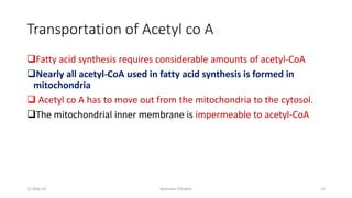 Transportation of Acetyl co A
❑Fatty acid synthesis requires considerable amounts of acetyl-CoA
❑Nearly all acetyl-CoA used in fatty acid synthesis is formed in
mitochondria
❑ Acetyl co A has to move out from the mitochondria to the cytosol.
❑The mitochondrial inner membrane is impermeable to acetyl-CoA
15-May-20 Namrata Chhabra 13
 
