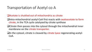 Transportation of Acetyl co A
❑Acetate is shuttled out of mitochondria as citrate
❑Intra-mitochondrial acetyl-CoA first reacts with oxaloacetate to form
citrate, in the TCA cycle catalyzed by citrate synthase
❑Citrate then passes into the cytosol through the mitochondrial inner
membrane on the citrate transporter.
❑In the cytosol, citrate is cleaved by citrate lyase regenerating acetyl-
CoA.
15-May-20 Namrata Chhabra 14
 