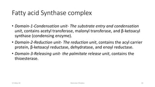 Fatty acid Synthase complex
• Domain-1-Condensation unit- The substrate entry and condensation
unit, contains acetyl transferase, malonyl transferase, and β-ketoacyl
synthase (condensing enzyme).
• Domain-2-Reduction unit- The reduction unit, contains the acyl carrier
protein, β-ketoacyl reductase, dehydratase, and enoyl reductase.
• Domain-3-Releasing unit- the palmitate release unit, contains the
thioesterase.
15-May-20 Namrata Chhabra 24
 