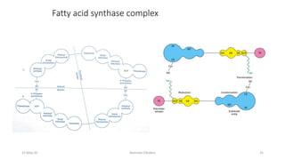 Fatty acid synthase complex
15-May-20 Namrata Chhabra 25
 