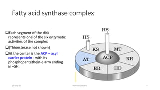Fatty acid synthase complex
❑Each segment of the disk
represents one of the six enzymatic
activities of the complex
❑(Thioesterase not shown)
❑At the center is the ACP – acyl
carrier protein - with its
phosphopantethein-e arm ending
in –SH.
15-May-20 Namrata Chhabra 27
 