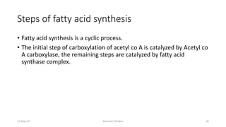 Steps of fatty acid synthesis
• Fatty acid synthesis is a cyclic process.
• The initial step of carboxylation of acetyl co A is catalyzed by Acetyl co
A carboxylase, the remaining steps are catalyzed by fatty acid
synthase complex.
15-May-20 Namrata Chhabra 30
 