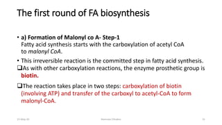 The first round of FA biosynthesis
• a) Formation of Malonyl co A- Step-1
Fatty acid synthesis starts with the carboxylation of acetyl CoA
to malonyl CoA.
• This irreversible reaction is the committed step in fatty acid synthesis.
❑As with other carboxylation reactions, the enzyme prosthetic group is
biotin.
❑The reaction takes place in two steps: carboxylation of biotin
(involving ATP) and transfer of the carboxyl to acetyl-CoA to form
malonyl-CoA.
15-May-20 Namrata Chhabra 31
 