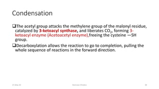 Condensation
❑The acetyl group attacks the methylene group of the malonyl residue,
catalyzed by 3-ketoacyl synthase, and liberates CO2, forming 3-
ketoacyl enzyme (Acetoacetyl enzyme),freeing the cysteine —SH
group.
❑Decarboxylation allows the reaction to go to completion, pulling the
whole sequence of reactions in the forward direction.
15-May-20 Namrata Chhabra 38
 