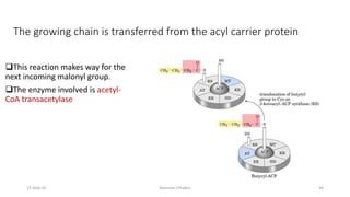 The growing chain is transferred from the acyl carrier protein
❑This reaction makes way for the
next incoming malonyl group.
❑The enzyme involved is acetyl-
CoA transacetylase
15-May-20 Namrata Chhabra 44
 