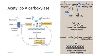 Acetyl co A carboxylase
15-May-20 Namrata Chhabra 57
 