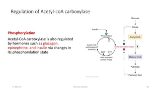 Regulation of Acetyl-coA carboxylase
Phosphorylation
Acetyl-CoA carboxylase is also regulated
by hormones such as glucagon,
epinephrine, and insulin via changes in
its phosphorylation state
15-May-20 Namrata Chhabra 58
 