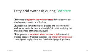 Fatty acid synthesis during Fed state
❑The rate is higher in the well-fed state if the diet contains
a high proportion of carbohydrate
❑Lipogenesis converts surplus glucose and intermediates
such as pyruvate, lactate, and acetyl-CoA to fat, assisting the
anabolic phase of this feeding cycle
❑Lipogenesis is increased when sucrose is fed instead of
glucose because fructose bypasses the phosphofructokinase
control point in glycolysis and floods the lipogenic pathway
15-May-20 Namrata Chhabra 61
 