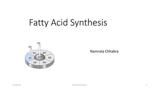 Fatty Acid Synthesis
Namrata Chhabra
15-May-20 Namrata Chhabra 1
 