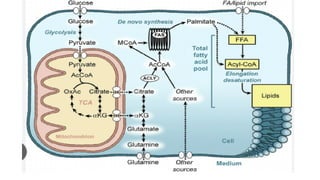 FATTY ACID SYNTHESIS (1).pdf by doctor naveeda | PDF