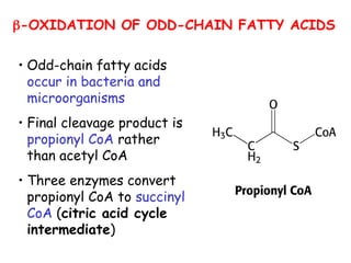 • Odd-chain fatty acids
occur in bacteria and
microorganisms
• Final cleavage product is
propionyl CoA rather
than acetyl CoA
• Three enzymes convert
propionyl CoA to succinyl
CoA (citric acid cycle
intermediate)
-OXIDATION OF ODD-CHAIN FATTY ACIDS
 
