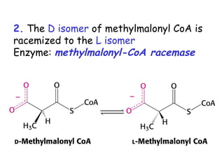 2. The D isomer of methylmalonyl CoA is
racemized to the L isomer
Enzyme: methylmalonyl-CoA racemase
 