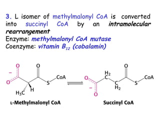 3. L isomer of methylmalonyl CoA is converted
into succinyl CoA by an intramolecular
rearrangement
Enzyme: methylmalonyl CoA mutase
Coenzyme: vitamin B12 (cobalamin)
 