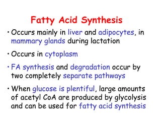 Fatty Acid Synthesis
• Occurs mainly in liver and adipocytes, in
mammary glands during lactation
• Occurs in cytoplasm
• FA synthesis and degradation occur by
two completely separate pathways
• When glucose is plentiful, large amounts
of acetyl CoA are produced by glycolysis
and can be used for fatty acid synthesis
 