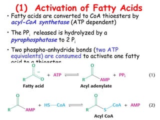(1) Activation of Fatty Acids
• Fatty acids are converted to CoA thioesters by
acyl-CoA synthetase (ATP dependent)
• The PPi released is hydrolyzed by a
pyrophosphatase to 2 Pi
• Two phospho-anhydride bonds (two ATP
equivalents) are consumed to activate one fatty
acid to a thioester
 