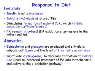 Fed state:
• Insulin level is increased
• Inhibits hydrolysis of stored TGs
• Stimulates formation of malonyl CoA, which inhibits
carnitine acyltransferase I
• FA remain in cytosol (FA oxidation enzymes are in the
mitochondria)
Starvation:
• Epinephrine and glucagon are produced and stimulate
adipose cell lipase and the level of free fatty acids rises
• Inactivate carboxylase, so decrease formation of malonyl
CoA (lead to increased transport of FA into mitochondria
and activate the b-oxidation pathway)
Response to Diet
 