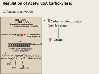 Regulation of Acetyl CoA Carboxylase:
1. Allosteric activation
[phospho]
[dephospho]
• Carbohydrate oxidation
(well fed state)
Citrate
 