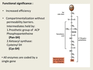 Intermediates held by:
1.Prosthetic group of ACP
Phosphopantetheine
(Pan-SH)
2.Ketoacyl synthase:
Cysteinyl SH
(Cys-SH)
Functional significance :
• Increased efficiency
• Compartmentalization without
permeability barriers.
• All enzymes are coded by a
single gene
 