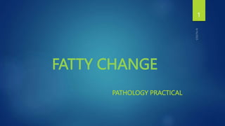 FATTY CHANGE
PATHOLOGY PRACTICAL
1
 