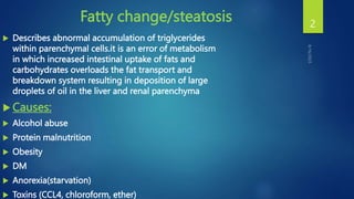 Fatty change/steatosis
 Describes abnormal accumulation of triglycerides
within parenchymal cells.it is an error of metabolism
in which increased intestinal uptake of fats and
carbohydrates overloads the fat transport and
breakdown system resulting in deposition of large
droplets of oil in the liver and renal parenchyma
 Causes:
 Alcohol abuse
 Protein malnutrition
 Obesity
 DM
 Anorexia(starvation)
 Toxins (CCL4, chloroform, ether)
2
 