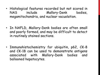 • Histological features recorded but not scored in
  NAS        include     Mallory-Denk        bodies,
  megamitochondria, and nuclear vacuolation.


• In NAFLD, Mallory-Denk bodies are often small
  and poorly formed, and may be difficult to detect
  in routinely stained sections.


• Immunohistochemistry for ubiquitin, p62, CK-8
  and CK-18 can be used to demonstrate antigens
  associated with Mallory-Denk bodies and
  ballooned hepatocytes.
 