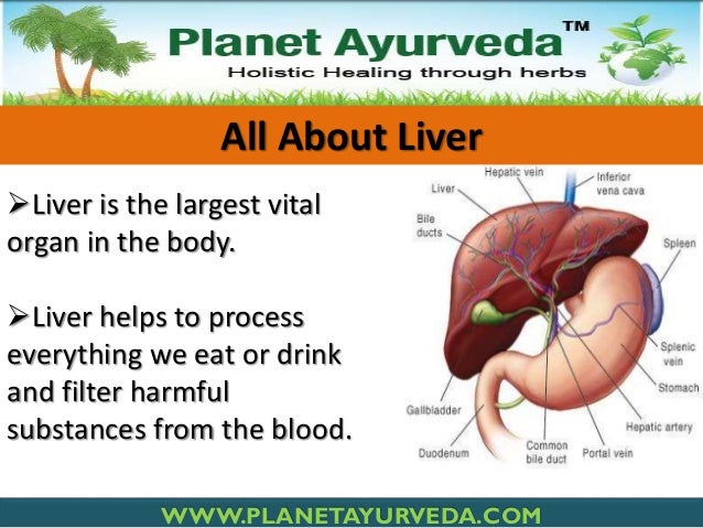 What are some home remedies to treat a fatty liver?