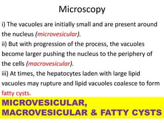 Microscopy
i) The vacuoles are initially small and are present around
the nucleus (microvesicular).
ii) But with progression of the process, the vacuoles
become larger pushing the nucleus to the periphery of
the cells (macrovesicular).
iii) At times, the hepatocytes laden with large lipid
vacuoles may rupture and lipid vacuoles coalesce to form
fatty cysts.
MICROVESICULAR,
MACROVESICULAR & FATTY CYSTS
 