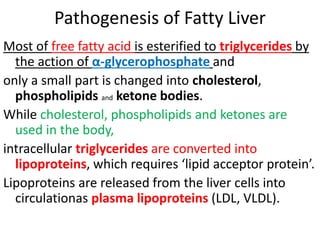 Pathogenesis of Fatty Liver
Most of free fatty acid is esterified to triglycerides by
the action of α-glycerophosphate and
only a small part is changed into cholesterol,
phospholipids and ketone bodies.
While cholesterol, phospholipids and ketones are
used in the body,
intracellular triglycerides are converted into
lipoproteins, which requires ‘lipid acceptor protein’.
Lipoproteins are released from the liver cells into
circulationas plasma lipoproteins (LDL, VLDL).
 