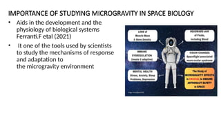 impact of microgravity of fungal growth presentation | PPTX