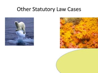 Other Statutory Law Cases