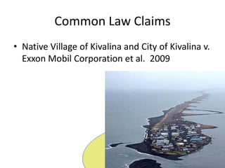 Common Law ClaimsNative Village of Kivalina and City of Kivalinav. Exxon Mobil Corporation et al.  2009
